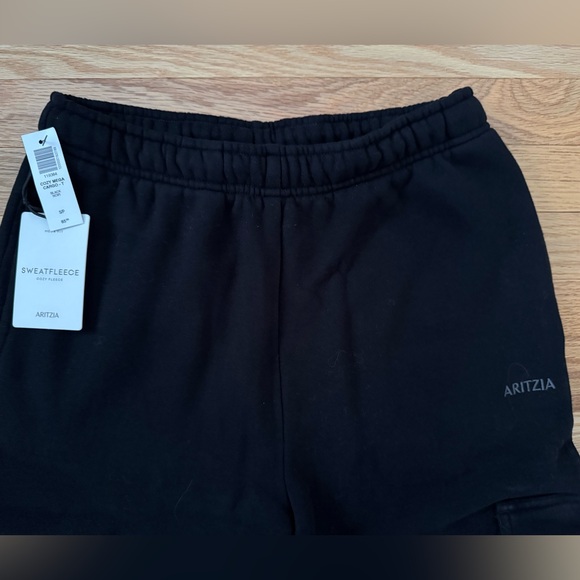 Aritzia Cozy Sweatfleece Mega Cargo Jogger - Small Tall - Picture 6 of 13